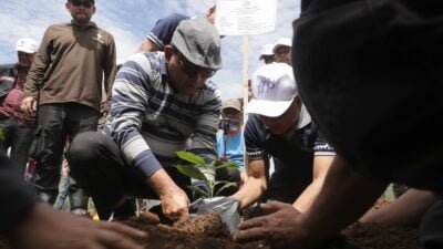 Kemenag Aceh Wakafkan 2 Ribu Pohon Kopi untuk MIS Kala Wih Ilang