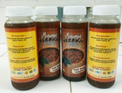 Mahasiswa USK Ciptakan Minuman Sehat dari Buah Keranji